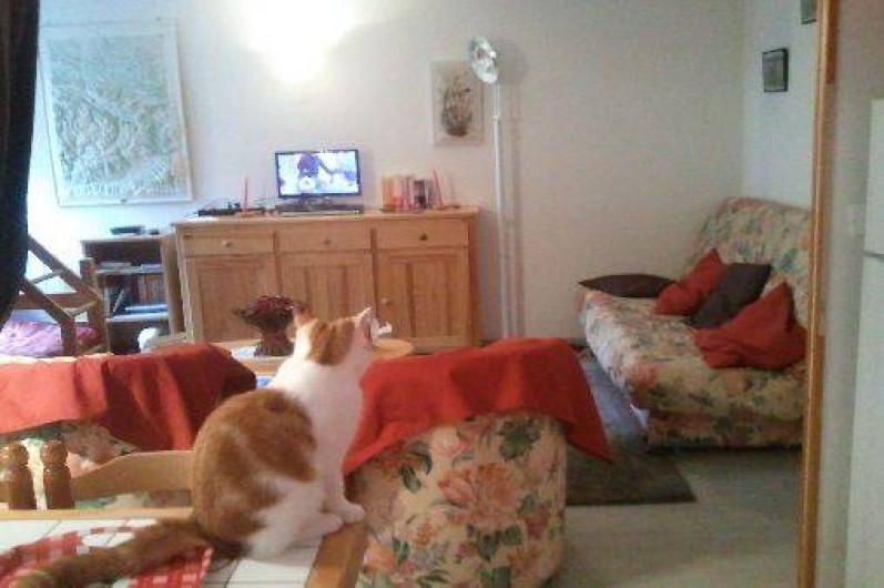 Location de vacances - Studio à Aulus-les-Bains