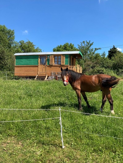 Location de vacances - Chalet à Saissac - Igloo face à la roulotte