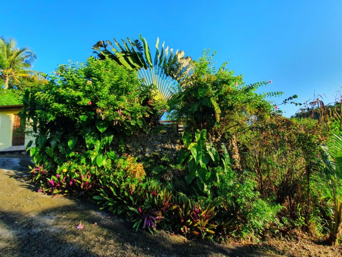 Location de vacances - Villa à Le Gosier