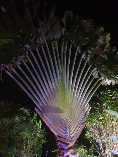 Location de vacances - Villa à Le Gosier