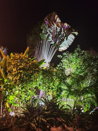 Location de vacances - Villa à Le Gosier