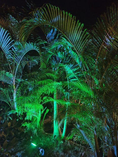 Location de vacances - Villa à Le Gosier