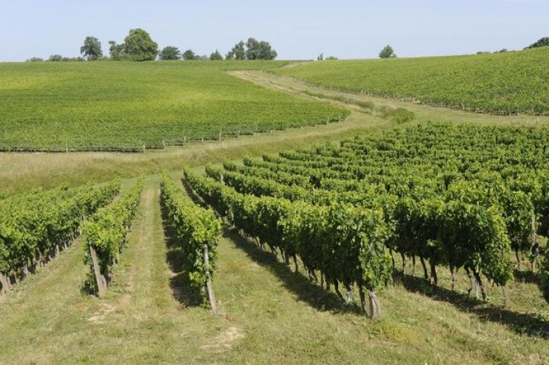 Location de vacances - Château - Manoir à Beychac-et-Caillau