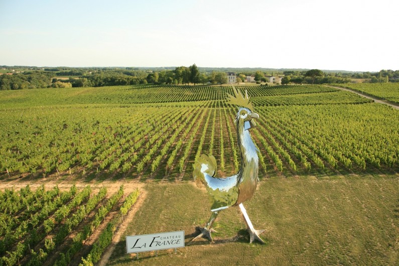 Location de vacances - Château - Manoir à Beychac-et-Caillau