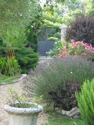 Location de vacances - Mas à Avignon