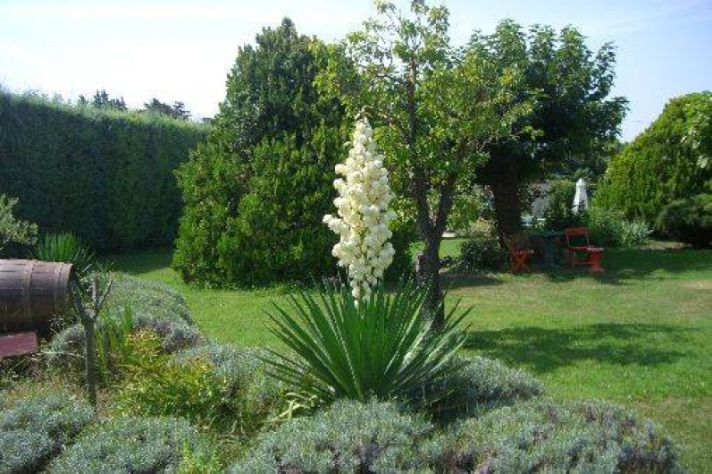 Location de vacances - Gîte à Velleron