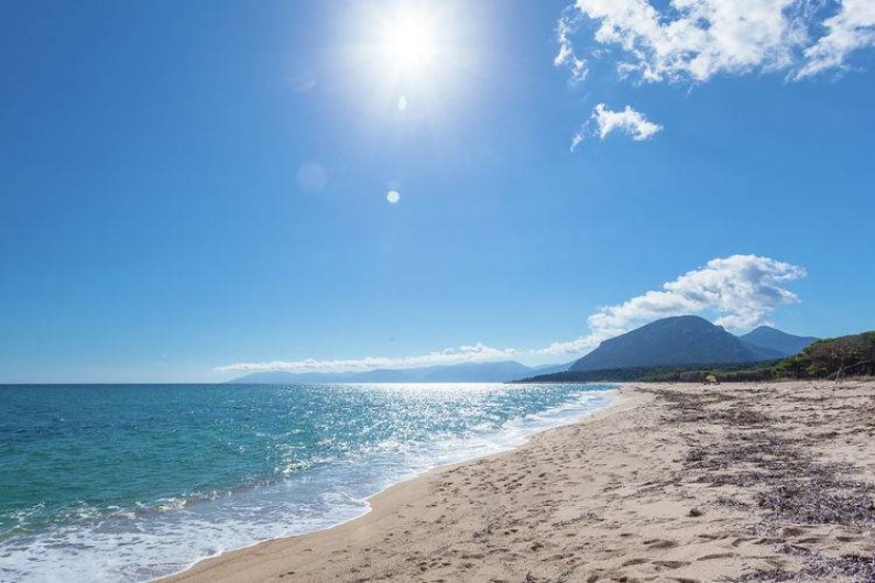 Location de vacances - Appartement à Orosei