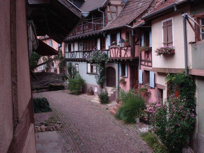 Location de vacances - Mas à Eguisheim - L'Alsacienne maison rose coté rue piétonne