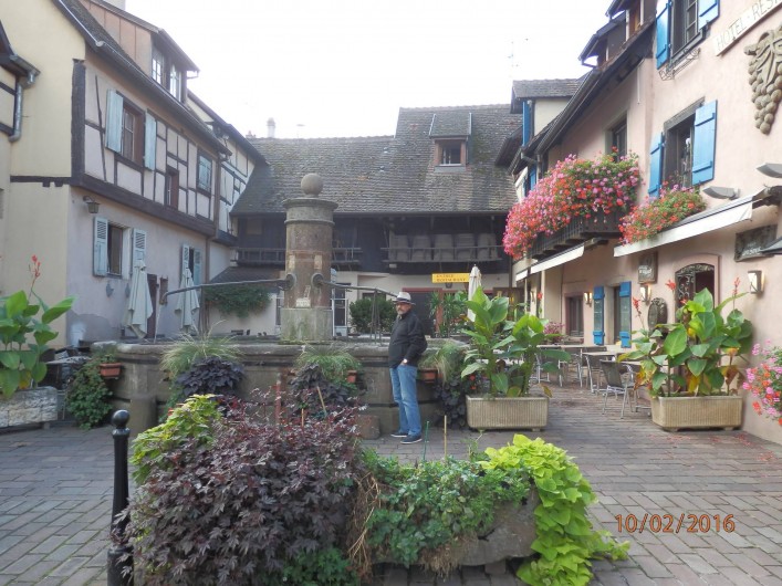 Location de vacances - Mas à Eguisheim - fontaine dans le village