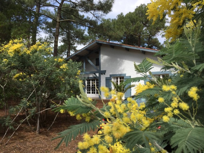 Location de vacances - Villa à Lège-Cap-Ferret
