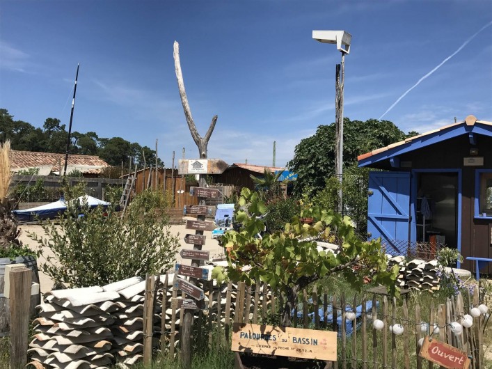 Location de vacances - Villa à Lège-Cap-Ferret