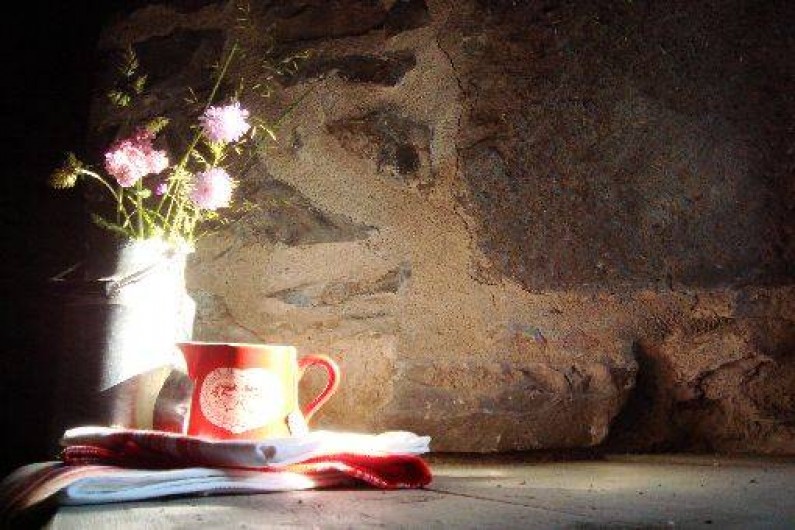 Location de vacances - Maison - Villa à Dienne