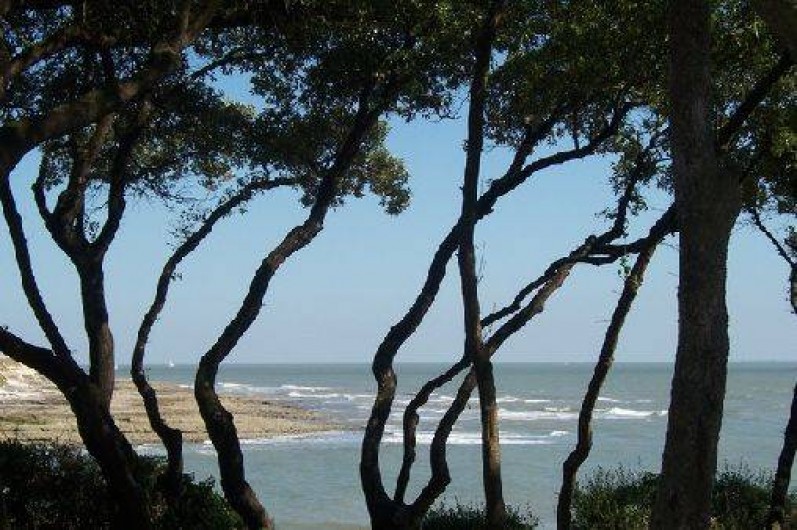 Location de vacances - Appartement à Vaux-sur-Mer