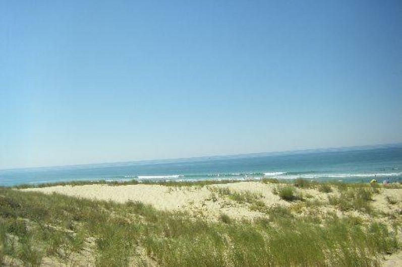 Location de vacances - Studio à Lège-Cap-Ferret