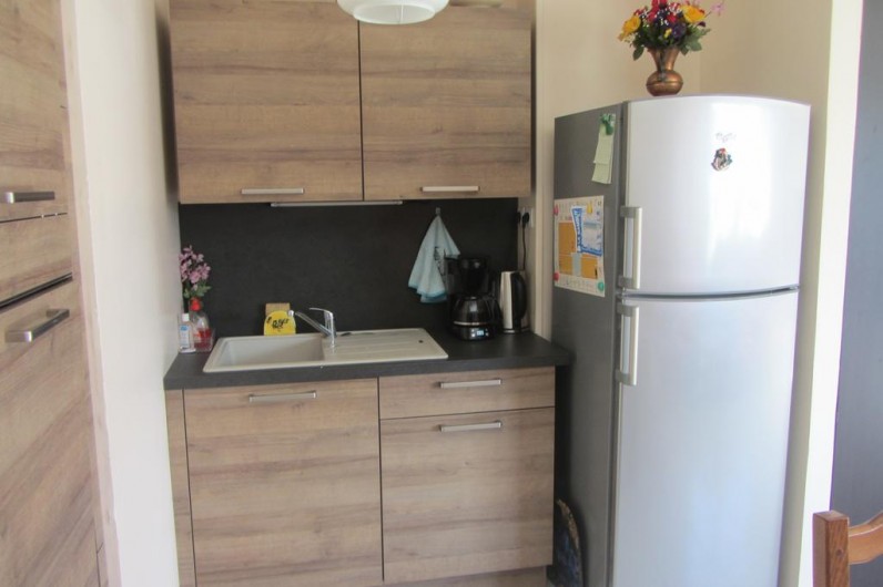 Location de vacances - Appartement à Faverges - coin évier et frigo congel