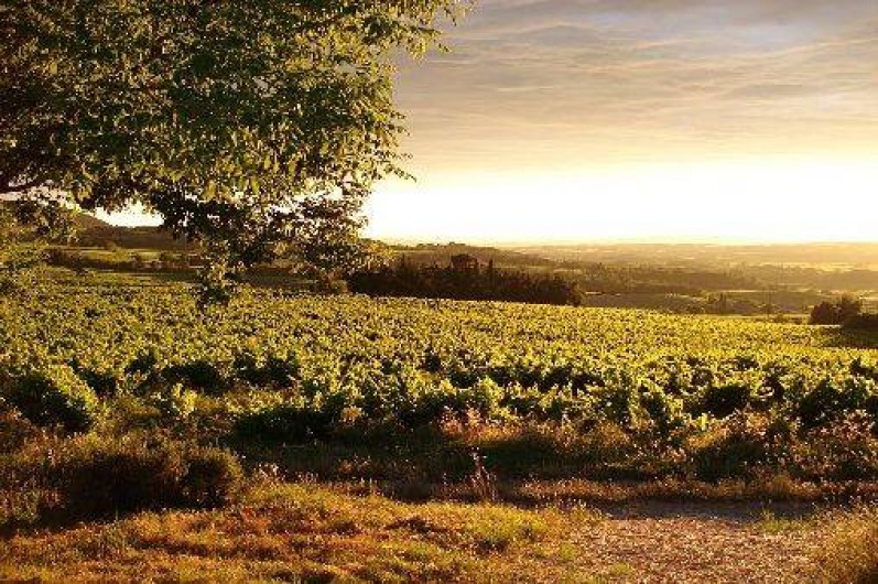 Location de vacances - Maison - Villa à Villedieu - Vue de la maison