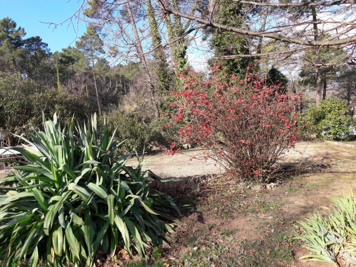 Location de vacances - Maison - Villa à Montauroux - terrain de pétanque