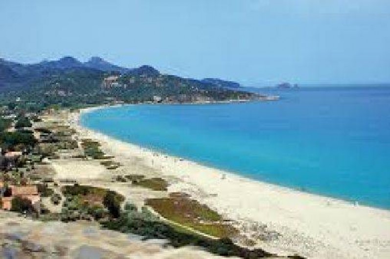 Location de vacances - Appartement à L'Île-Rousse