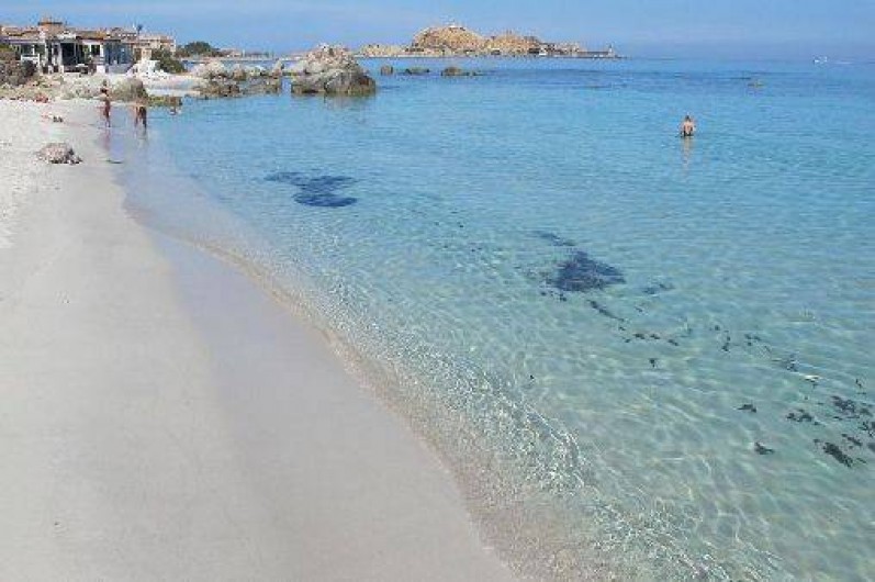 Location de vacances - Appartement à L'Île-Rousse