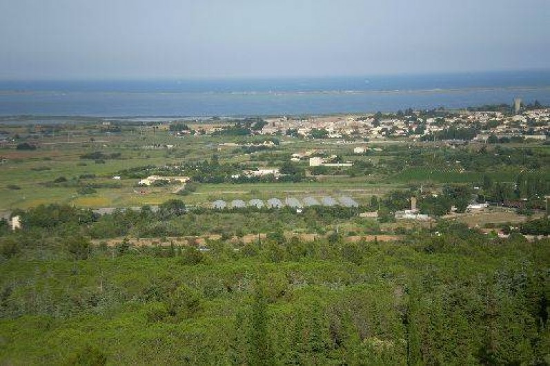 Location de vacances - Gîte à Vic-la-Gardiole