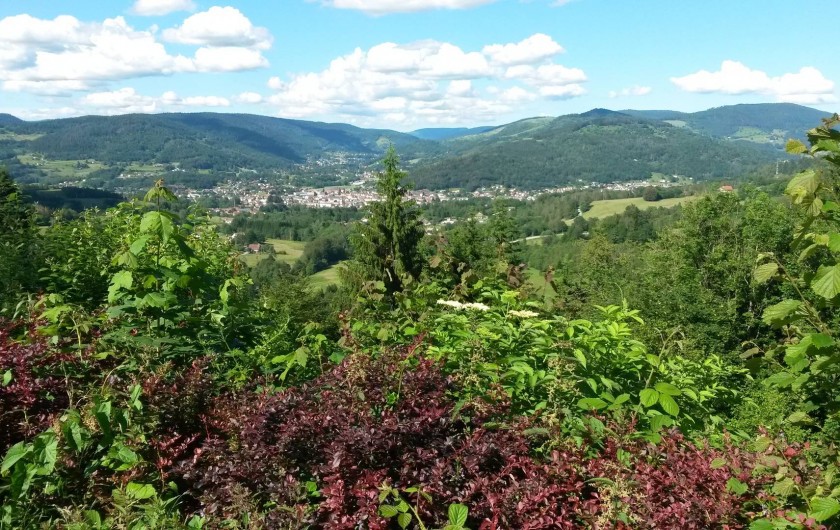 Location de vacances - Chalet à Le Menil - Vue sur le village