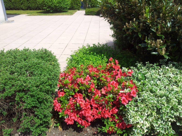 Location de vacances - Chalet à Le Menil - Terrasse côté sud