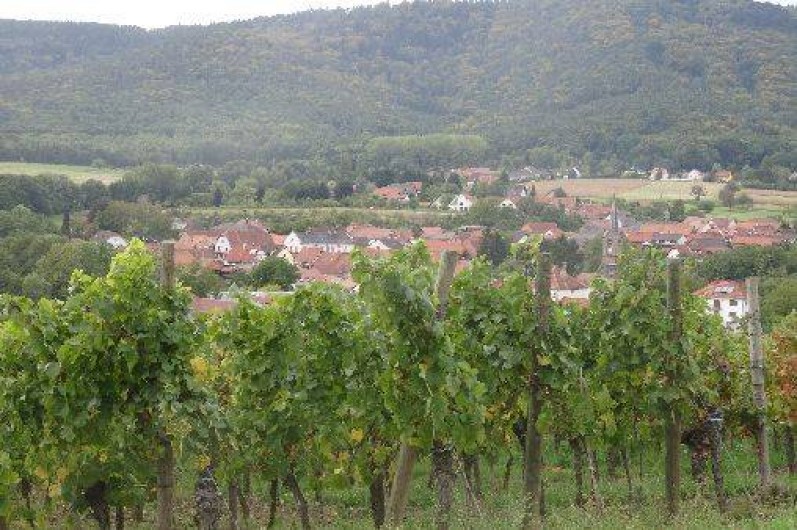 Location de vacances - Maison - Villa à Cleebourg