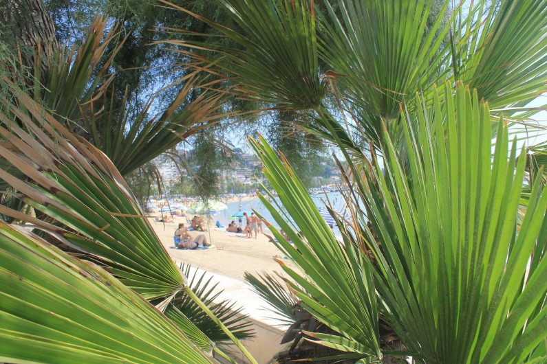 Location de vacances - Maison - Villa à Le Lavandou