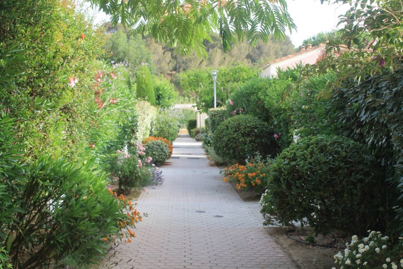 Location de vacances - Maison - Villa à Le Lavandou