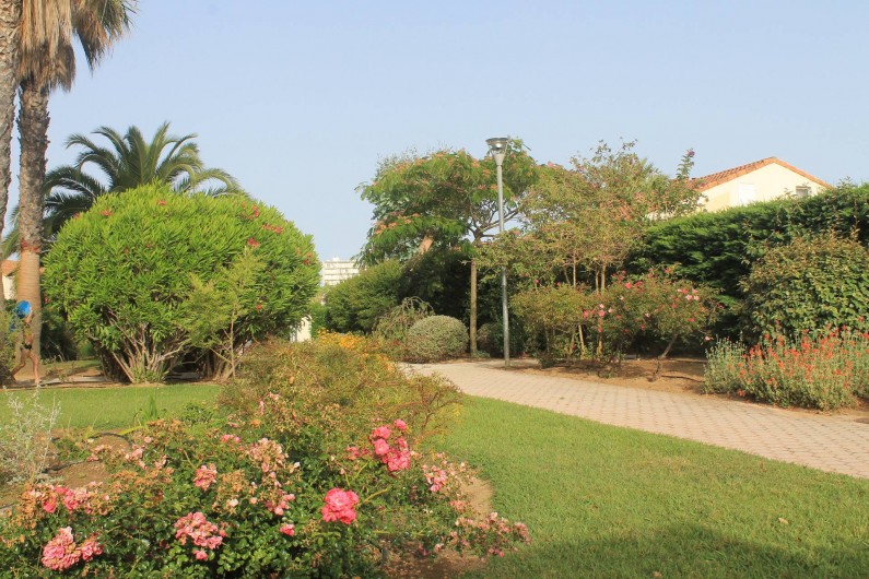 Location de vacances - Maison - Villa à Le Lavandou - devant la maison