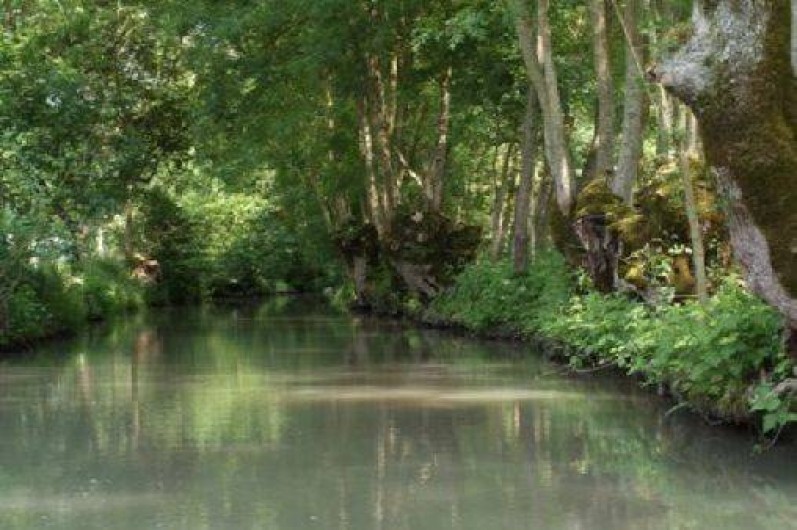 Location de vacances - Maison - Villa à Saint-Hilaire-la-Palud