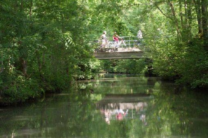 Location de vacances - Maison - Villa à Saint-Hilaire-la-Palud