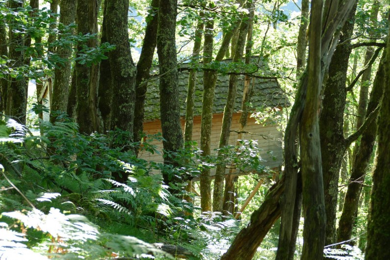 Location de vacances - Chambre d'hôtes à Saint-Martial-Entraygues - Cabane "Houx Blond"