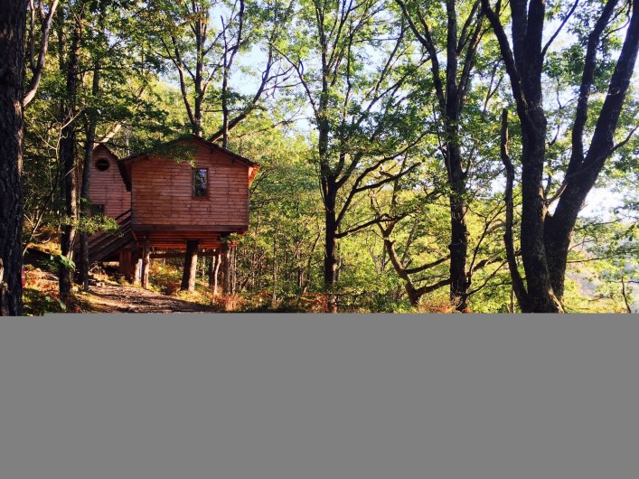 Location de vacances - Chambre d'hôtes à Saint-Martial-Entraygues - Cabane Familiale 4 à 6 personnes - "Des Chesnaies"