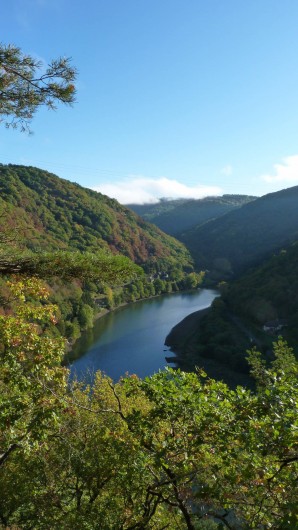 Location de vacances - Chambre d'hôtes à Saint-Martial-Entraygues - Vue depuis la cabane "Des Chesnaies"