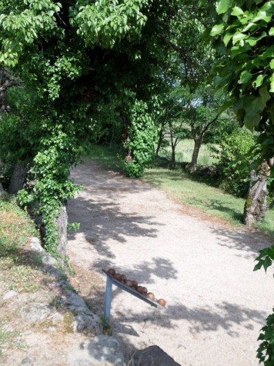 Location de vacances - Gîte à Lablachère - jeu de boules