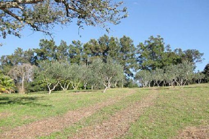 Location de vacances - Chambre d'hôtes à Pianottoli-Caldarello