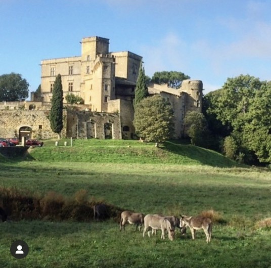 Location de vacances - Mas à Villelaure - Le château de Lourmarin (à 15 mn de la ferme)