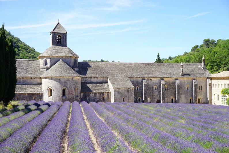 Location de vacances - Mas à Villelaure - L'abbaye de Sénanque (1 heure de route de la ferme)