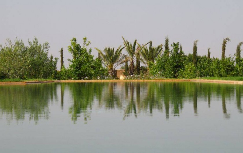 Location de vacances - Villa à Marrakech - Piscine