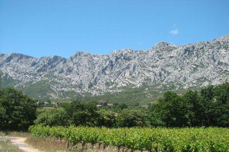 Location de vacances - Villa à Puyloubier