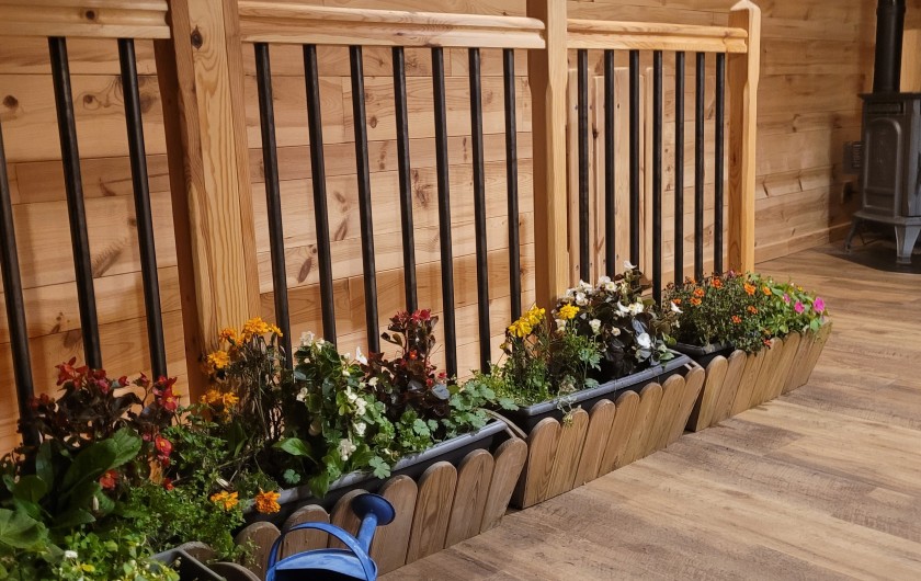 Location de vacances - Gîte à La Panouse - Pour profiter des dernières fleurs en jardinières... PG
