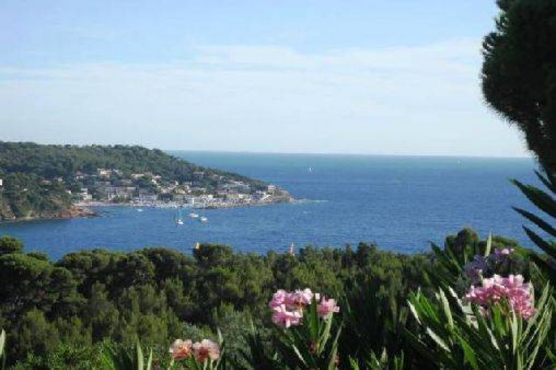 Location de vacances - Appartement à Le Pradet