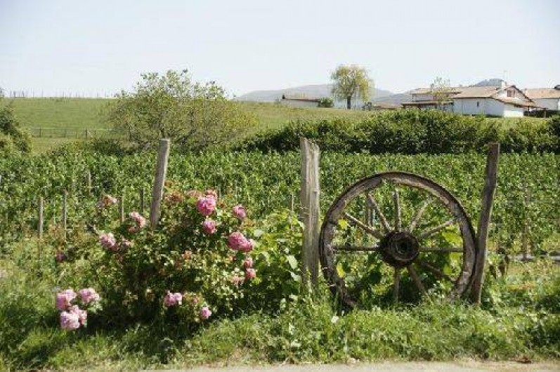 Location de vacances - Maison - Villa à Espelette