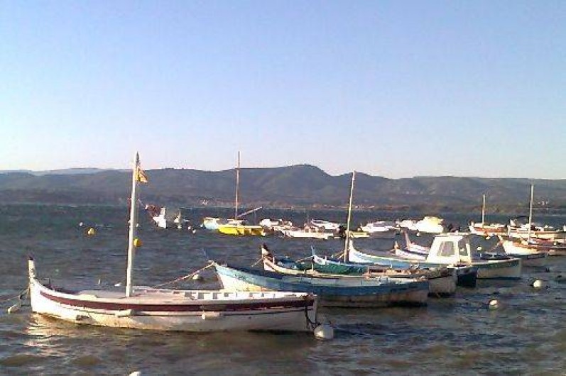 Location de vacances - Studio à Saint-Mandrier-sur-Mer