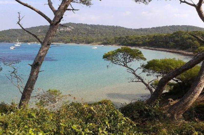 Location de vacances - Studio à Saint-Mandrier-sur-Mer