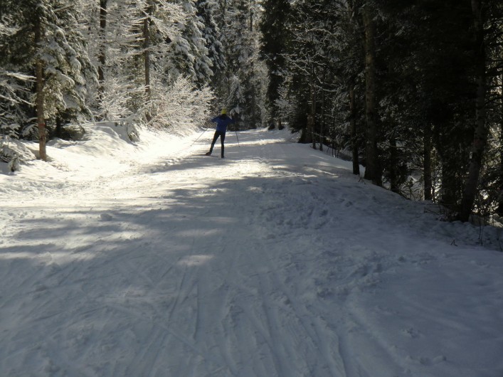 Location de vacances - Chalet à Esserval-Combe - Ski de fond à la Bourre