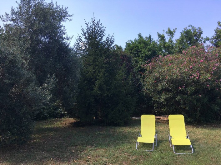 Location de vacances - Appartement à Santa-Lucia-di-Moriani - Bains de soleil dans le Jardin