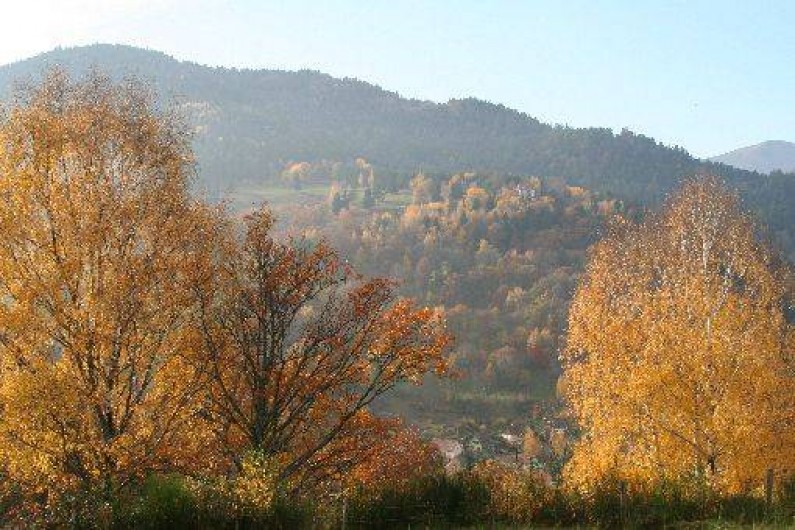 Location de vacances - Appartement à Muhlbach-sur-Munster