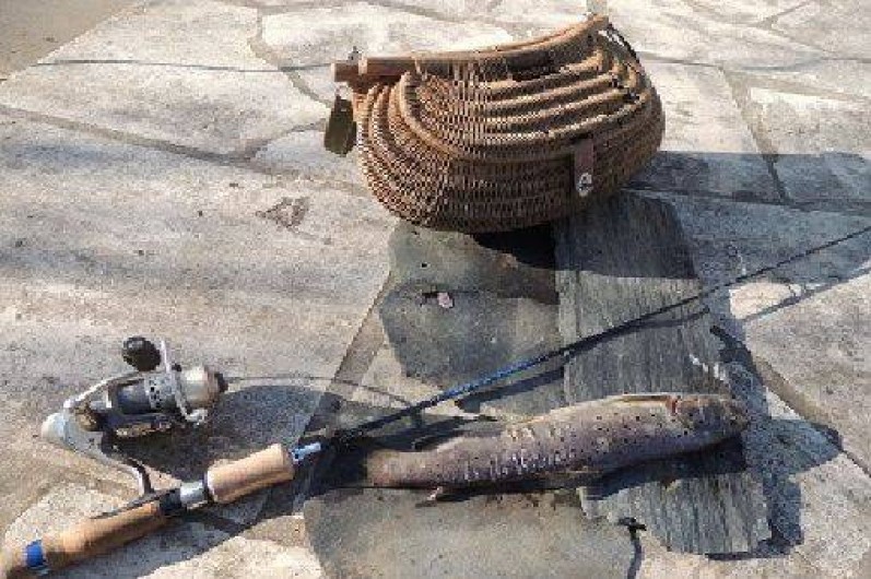 Location de vacances - Roulotte à Sadroc